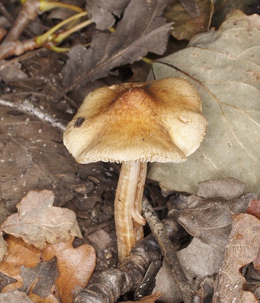 DSCF1587.JPG