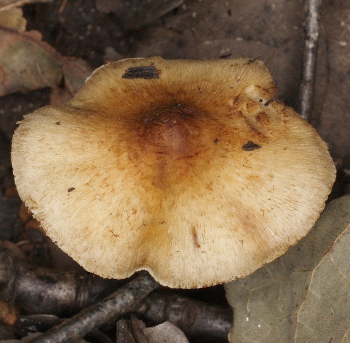 PA102382.JPG