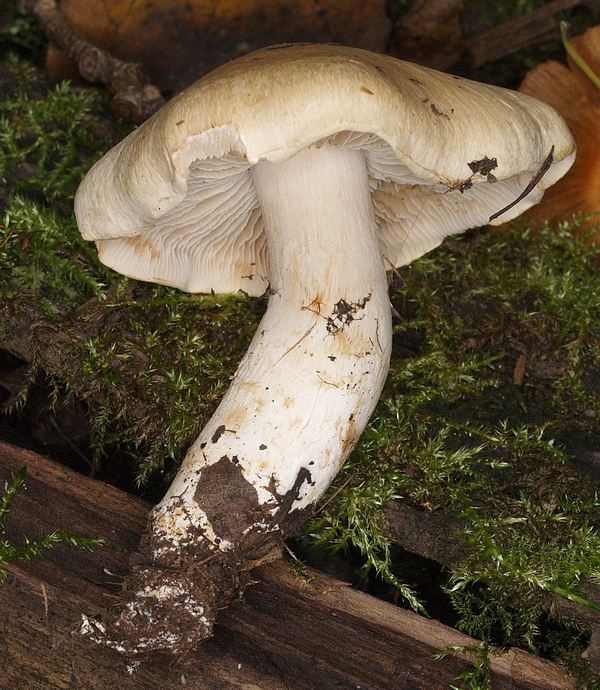 PA102418.JPG