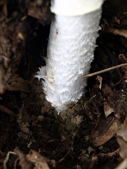 PA162730.JPG