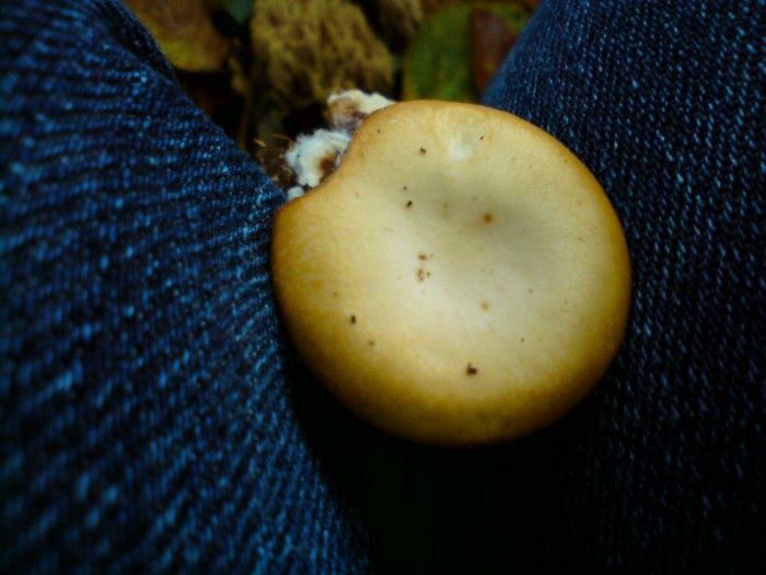 DSC00624.JPG