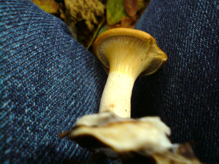 DSC00625.JPG