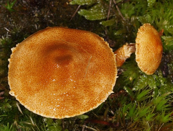 PA162559.JPG