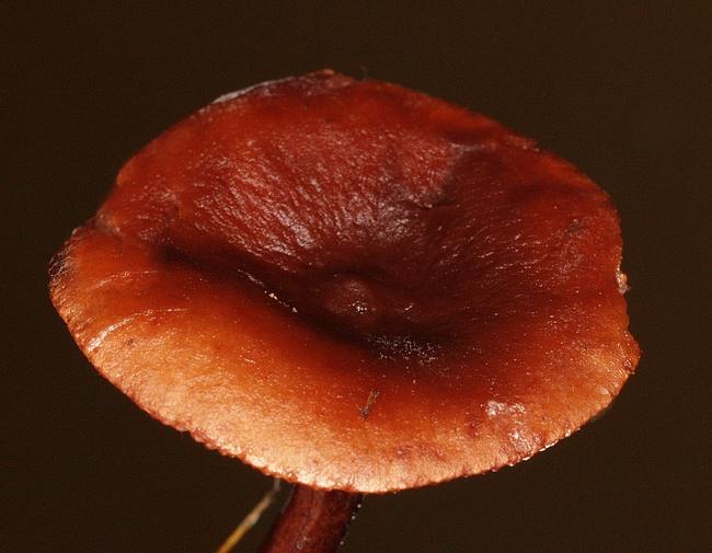 PA182620.JPG