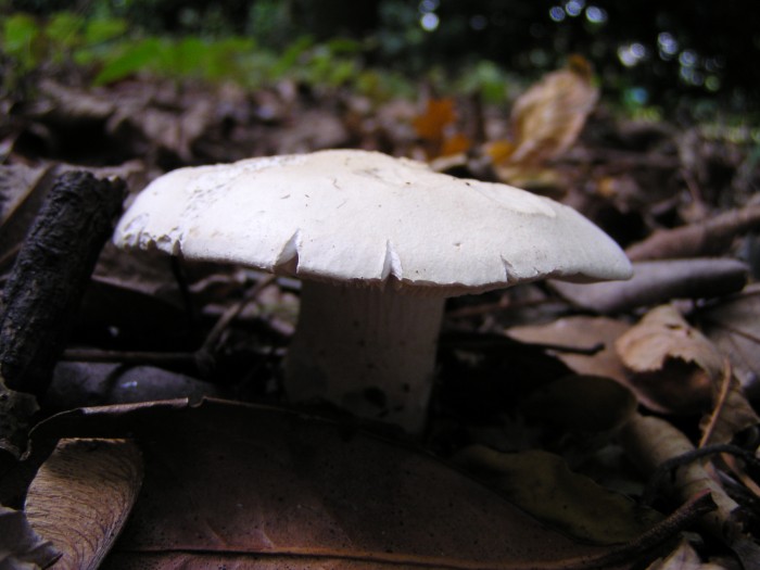 P1010002.JPG