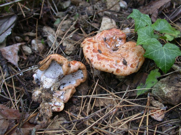DSCN5971.JPG