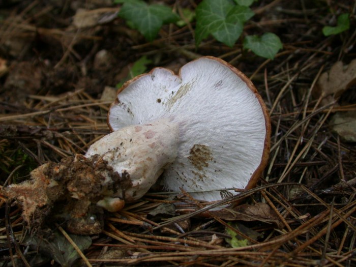 DSCN5972.JPG