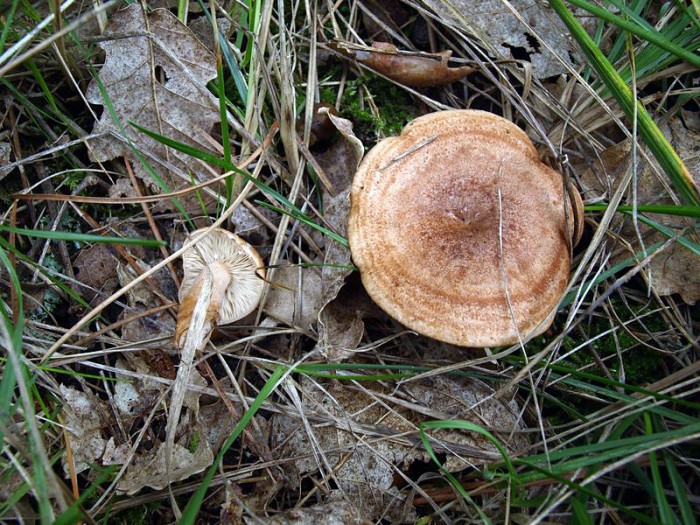PB033013.JPG