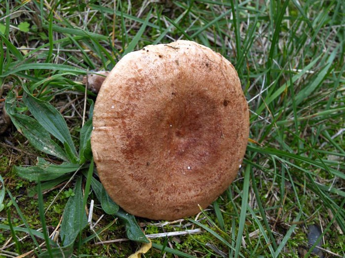 PB032995.JPG