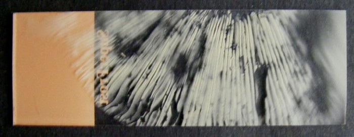 4 nov 067.jpg