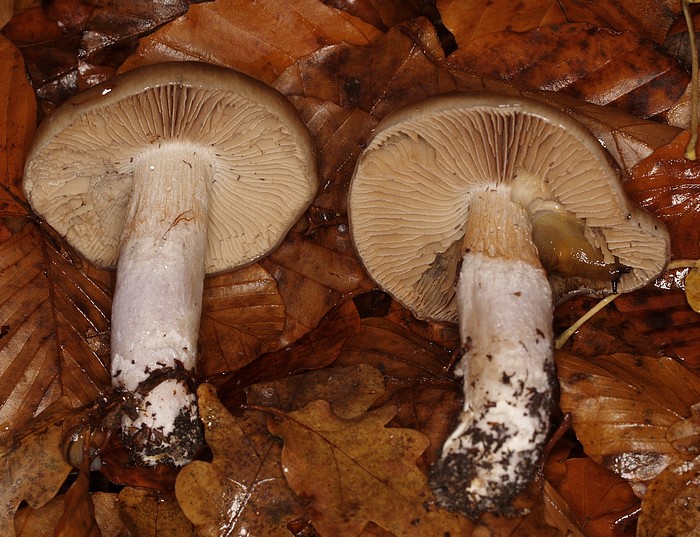 PB072666.JPG