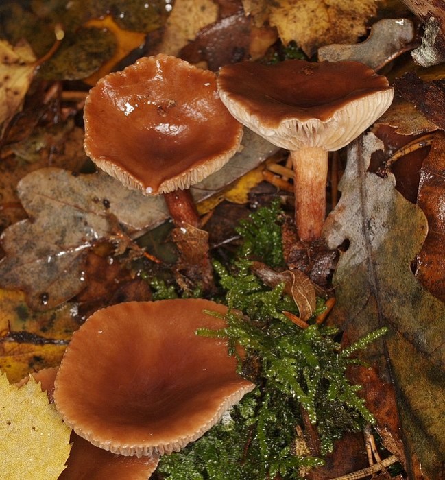 PB072671.JPG