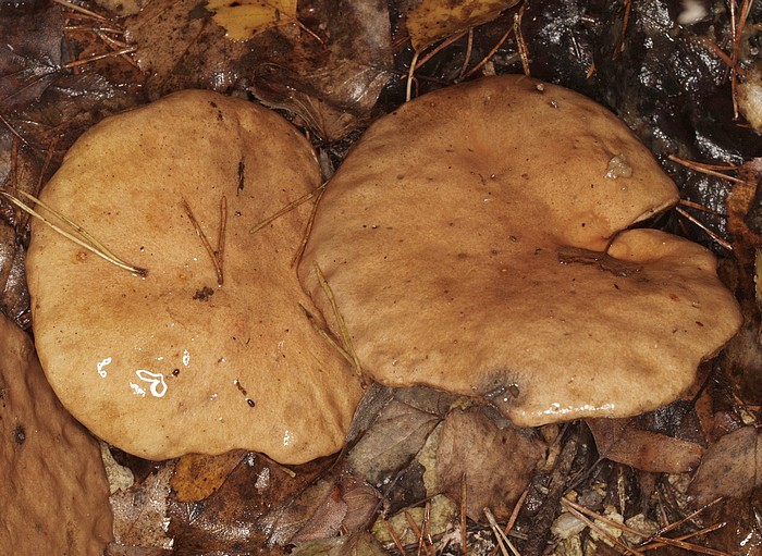 PB072754.JPG