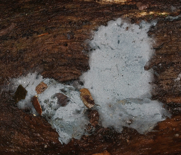 PB07275.JPG