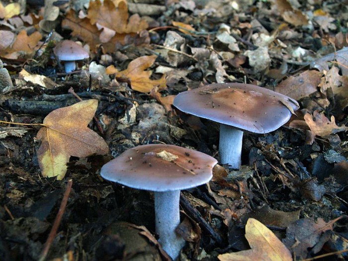 PB133278.JPG