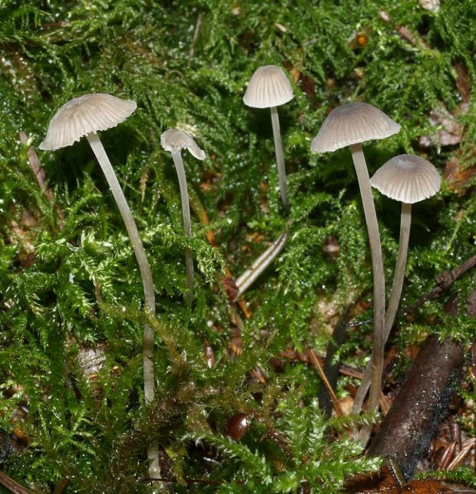 PB142895.JPG