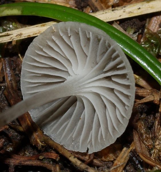 PB142907.JPG