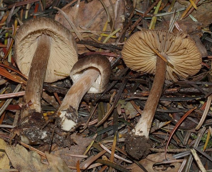 PB142866.JPG