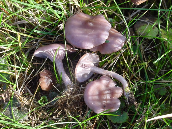 DSC00069.JPG