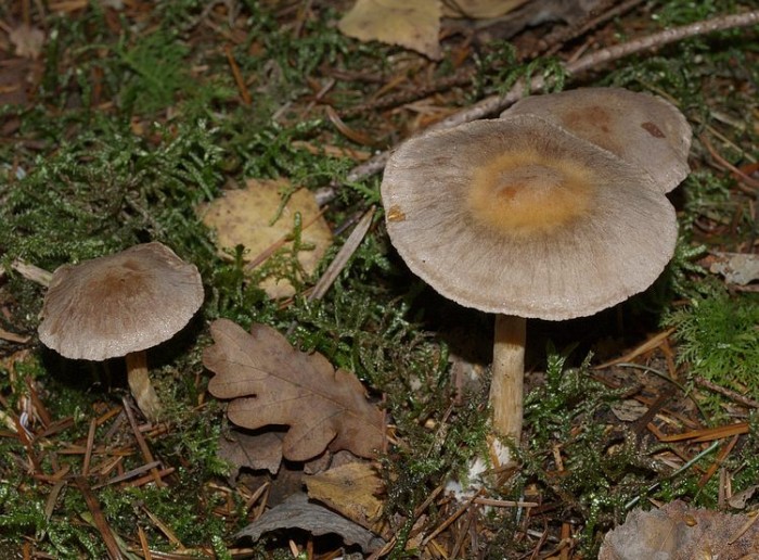 PB142900.JPG