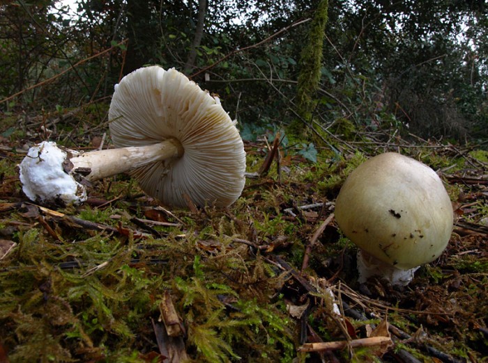 PB183329.jpg