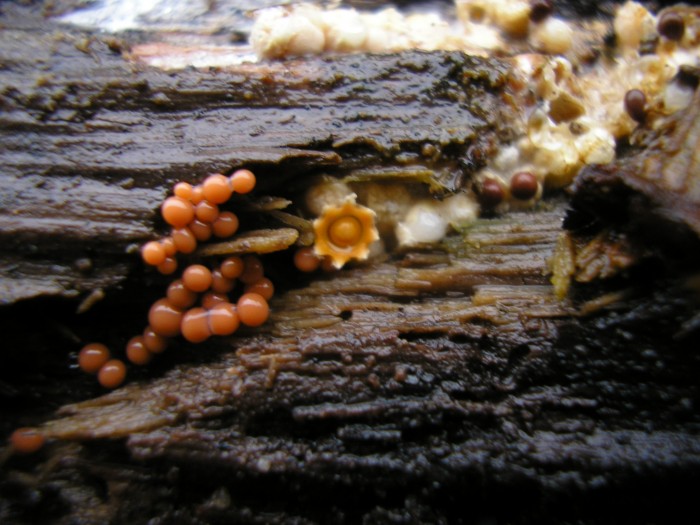 PB220115.JPG