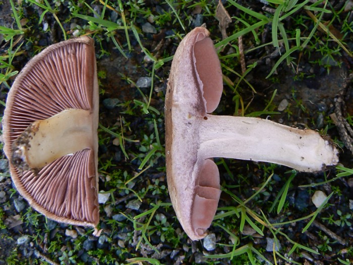 P1170916.jpg