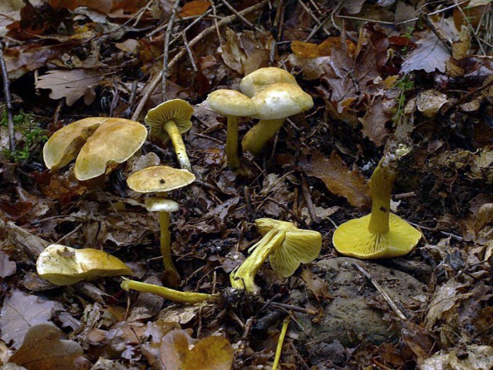 PB253592 copie.jpg