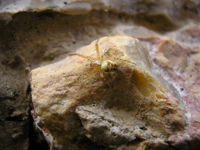 PB010175.JPG