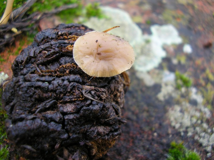 P1090018.JPG