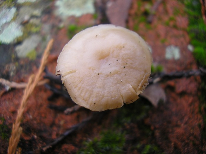 P1090013.JPG