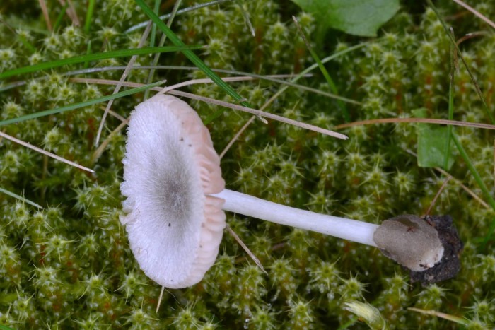 DSC_0024.JPG
