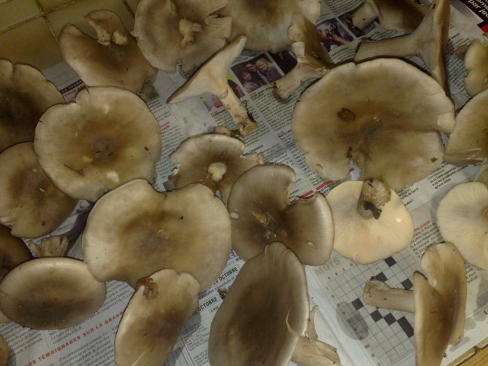 photo_1.jpg