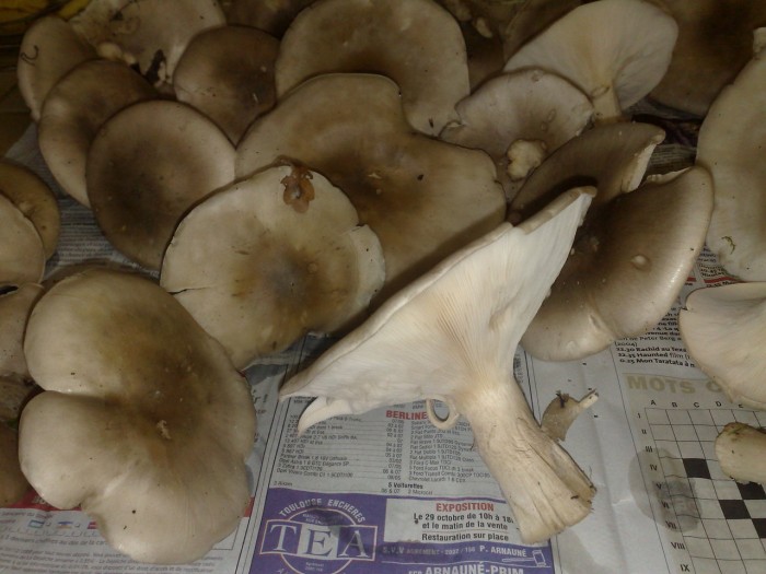 photo_2.jpg