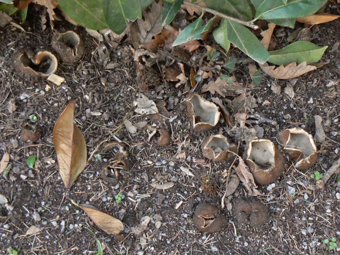 P1180244.jpg