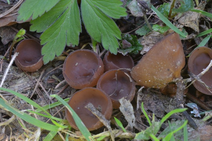 DSC_0075.JPG