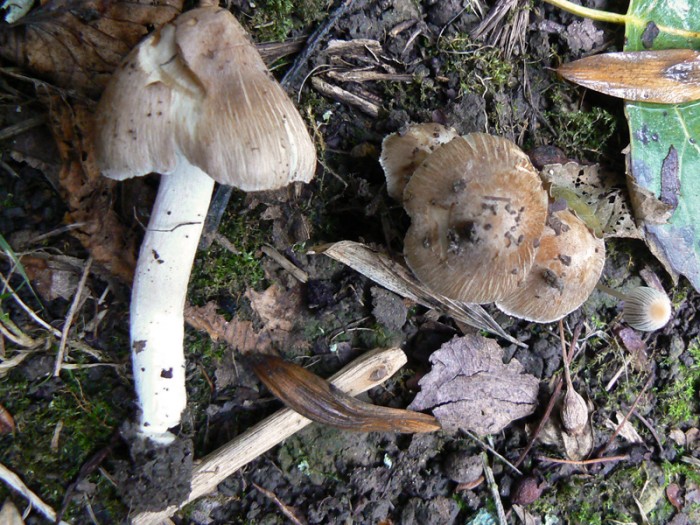 P1190041.jpg