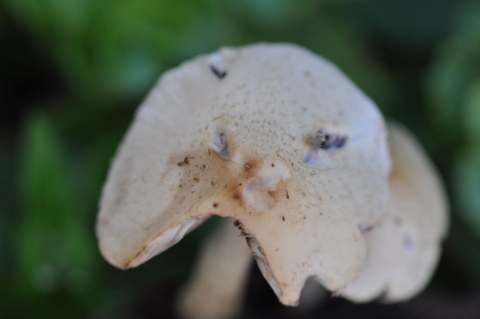 DSC_2772.JPG
