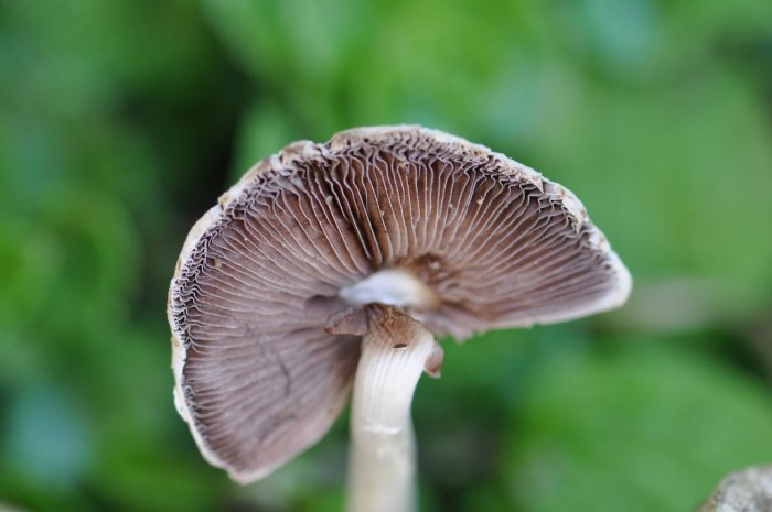 DSC_2774.JPG