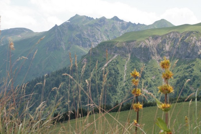 En haut du Capucin