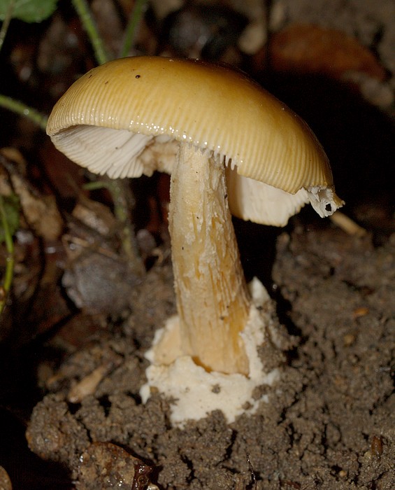 P7234580.JPG
