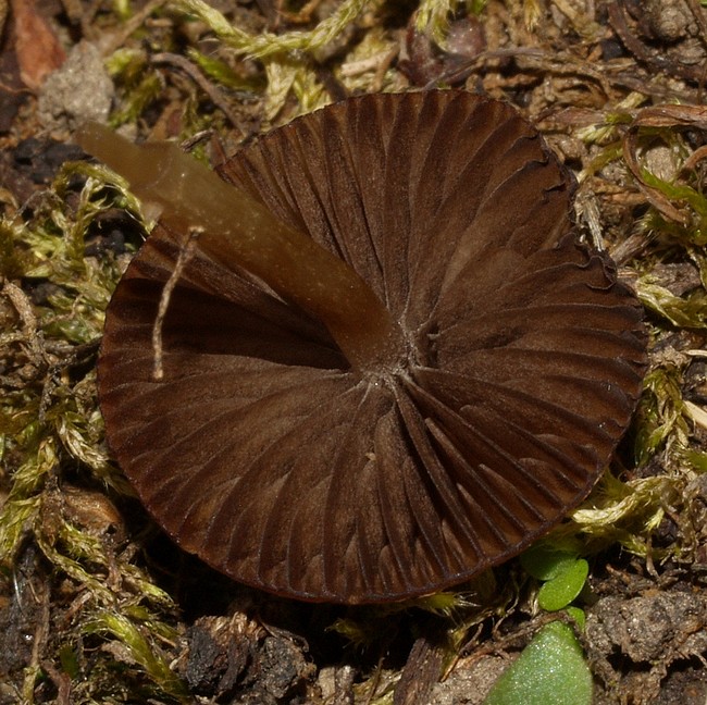 P7264639.JPG