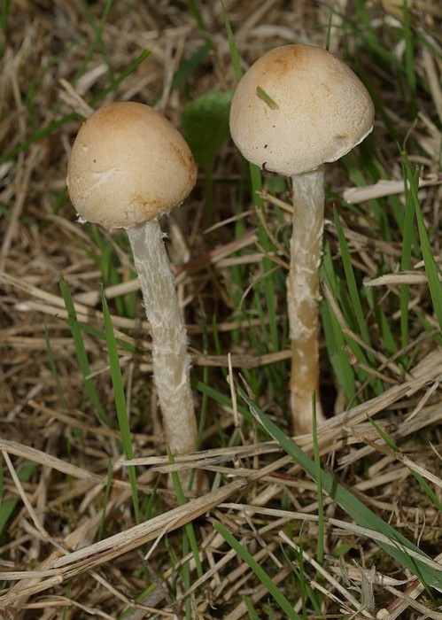P7274660.JPG