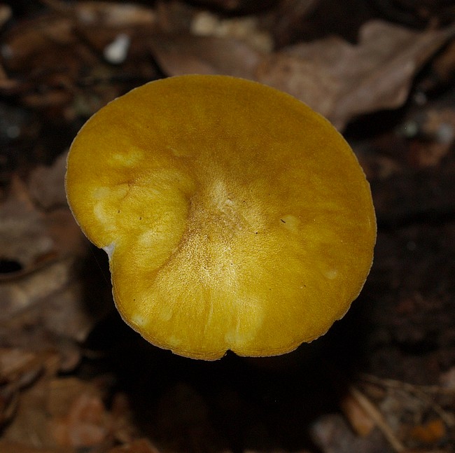 P9245297.JPG