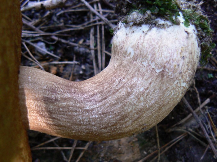 P1200072.jpg