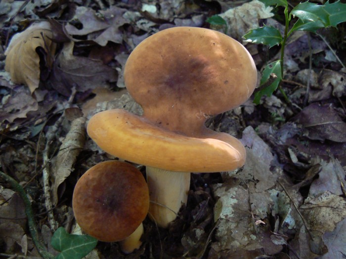 P1200060.jpg
