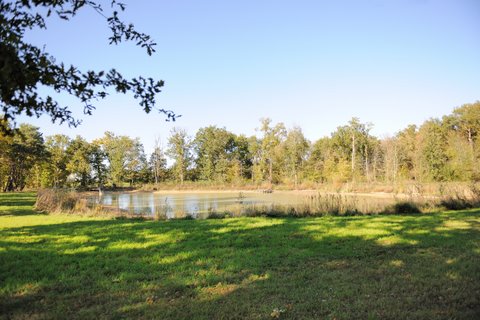 étang des bois.jpg