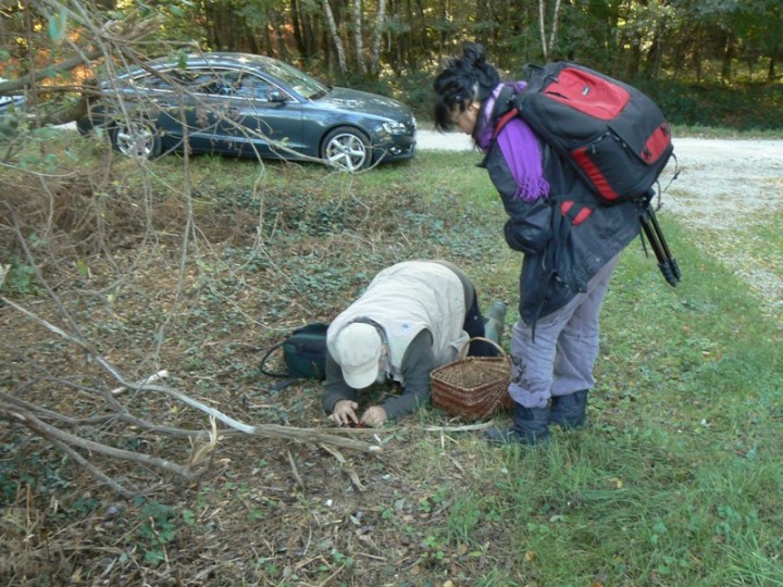 On dit souvent qu'un mycologue est à genoux, la preuve :)