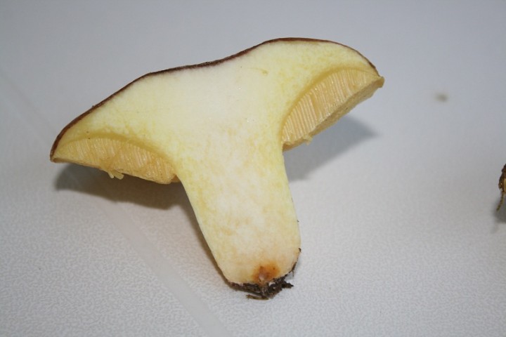 B6.jpg