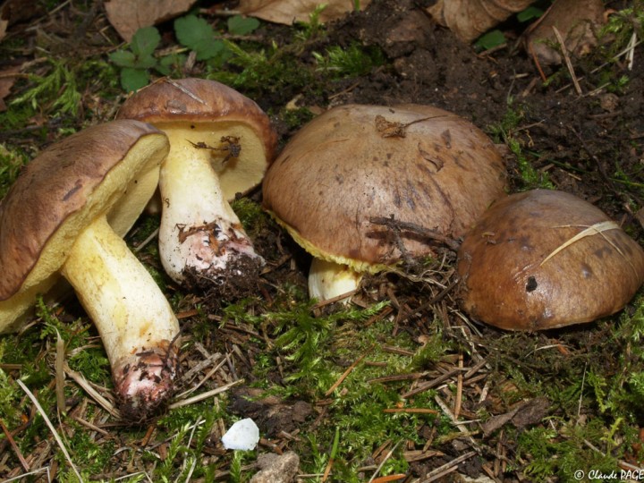 CP294684_1.jpg